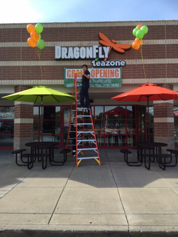 Review: Dragonfly