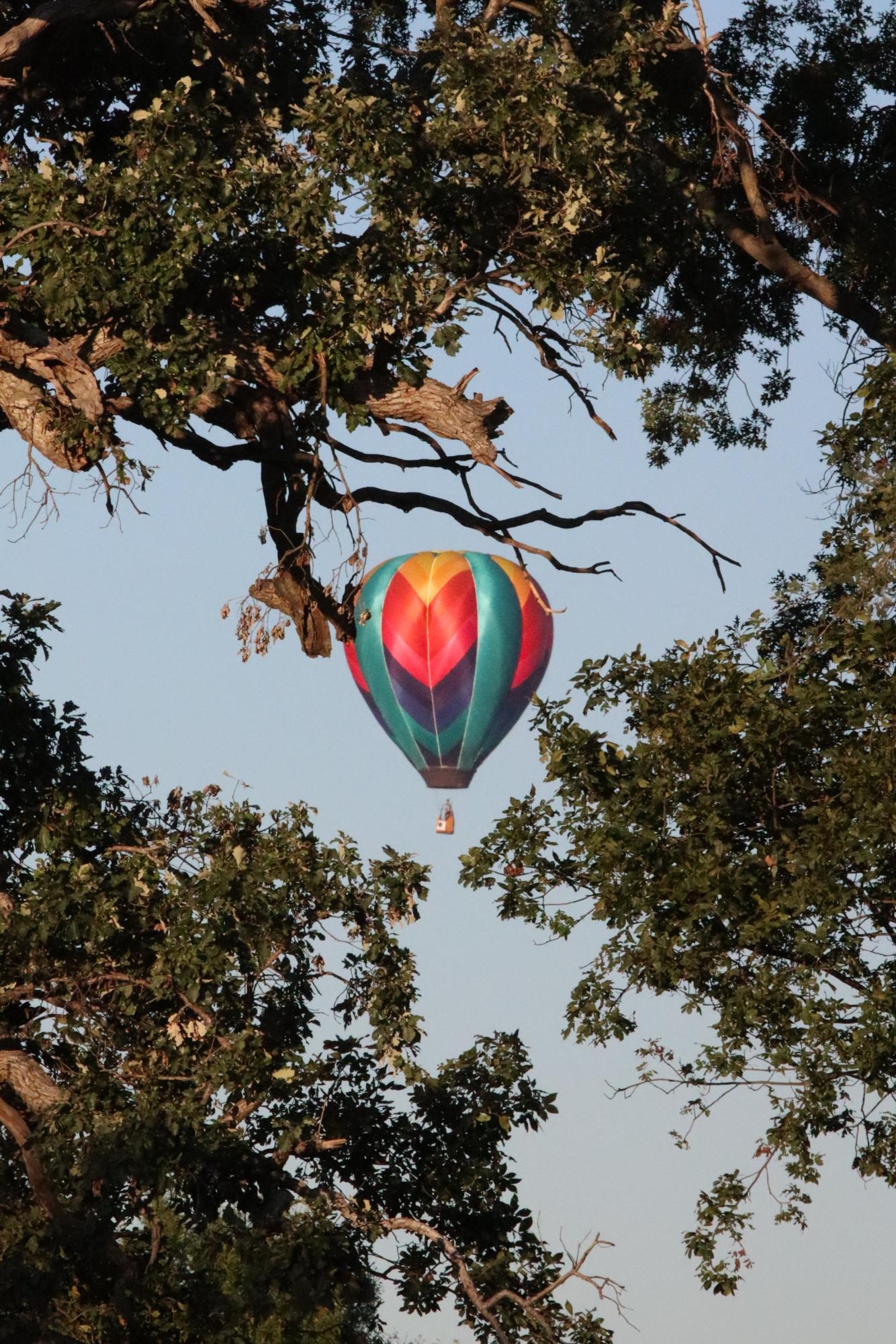 A hot air balloon competes in evening competition during The 47th Great Pershing Balloon Derby in Brookfield, MO on Saturday Sept. 2. Balloon Piloted by Rick Goosey.