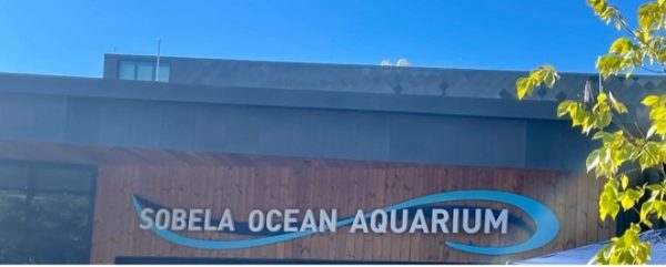 The Sobela Ocean Aquarium opened at the KC Zoo.