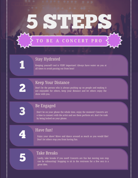 Tips for Summer Concert Goers